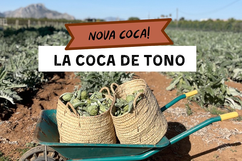 La Coca de Tono : alcachofas de Tono, tomate seco y tocino