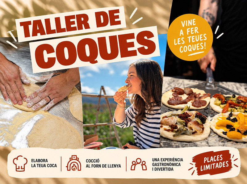 TALLER COQUES